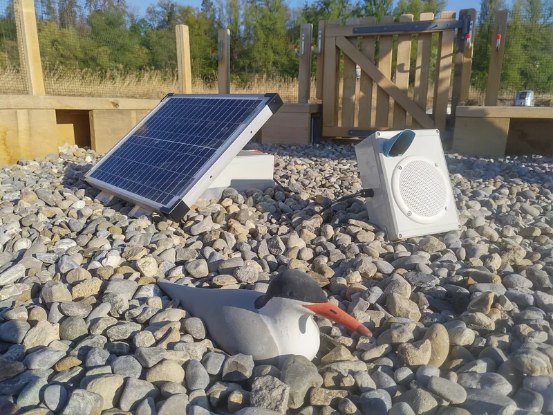 ecoPi-Rekorder im Auerhuhn-Habitat