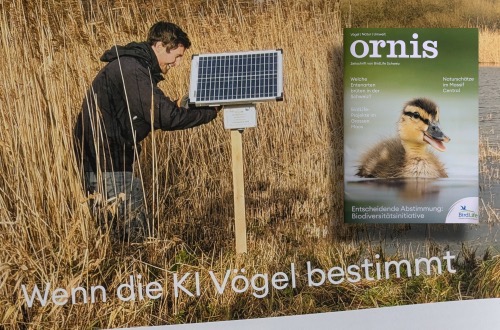 Beitrag über den ecoPi im BirdLife-Schweiz-Magazin Ornis