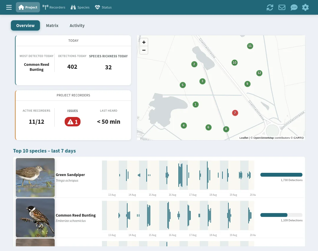 Project overview with stat cards and latest detections