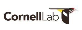 Cornell Lab of Ornithology – Cornell University